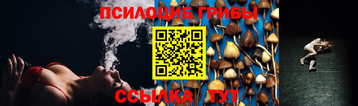 купить наркотики сайты  Галлюциногенные грибы Psilocybe  Вход с VPN  Балабаново 